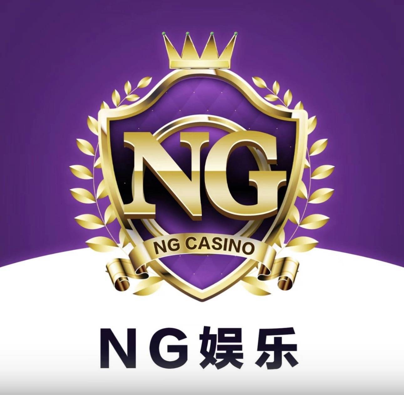 NG系列各大平台 出款无忧 奖励丰厚